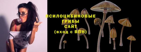кокс Михайловск