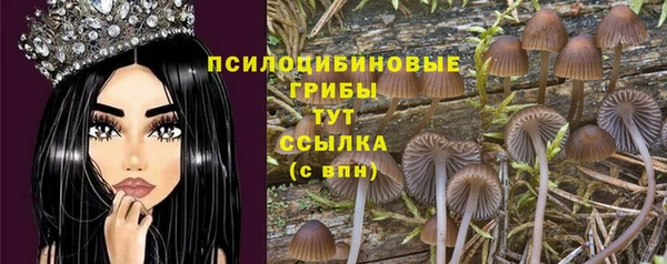МДПВ Наволоки