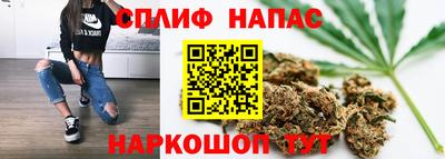 прущие грибы Беслан