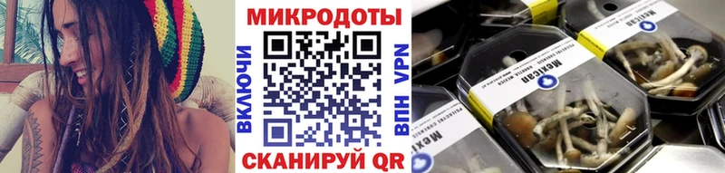 Псилоцибиновые грибы ЛСД  купить наркотики цена  Калуга 