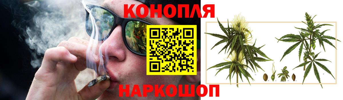 Каннабис MAZAR  Калуга  Марихуана индика  Каннабис семена 